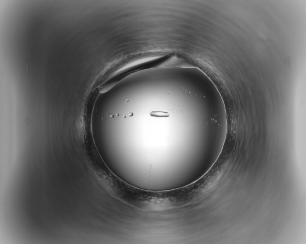 X0000093610256200710151244