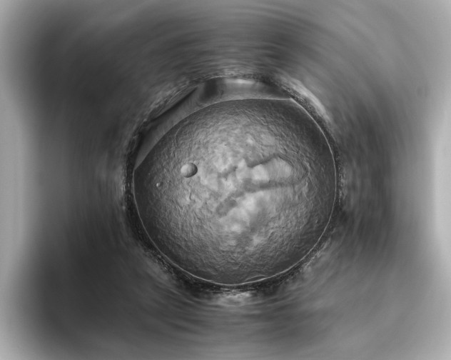 X0000093610257200710151244