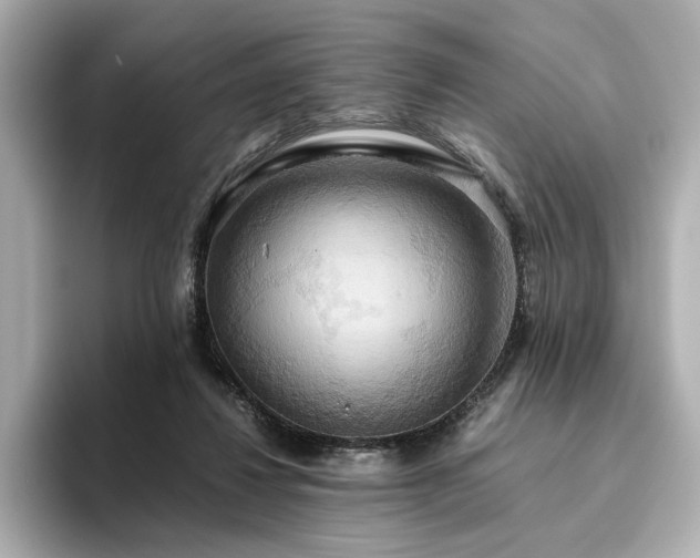 X0000093610260200710151244