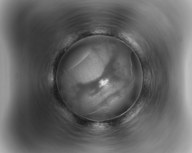 X0000093610261200710151244