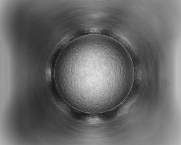 X0000093610262200710151244