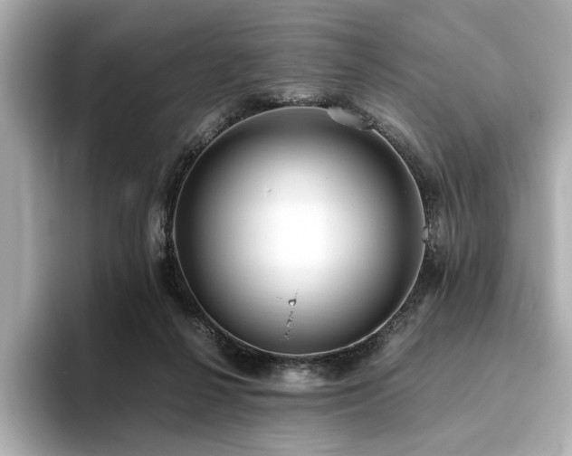 X0000093610264200710151244