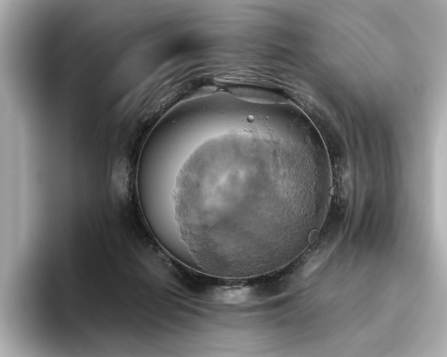 X0000093610266200710151244