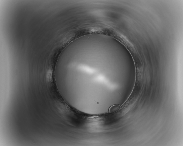 X0000093610269200710151244