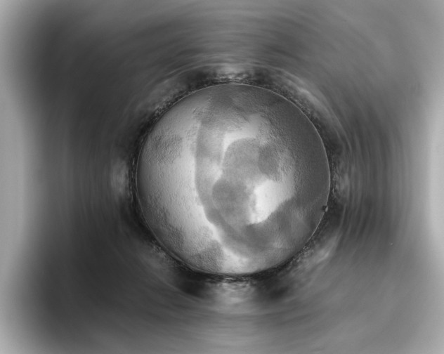 X0000093610270200710151244