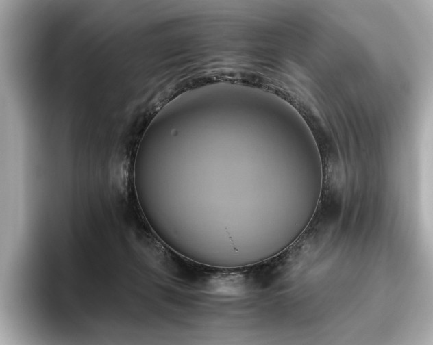 X0000093610271200710151244