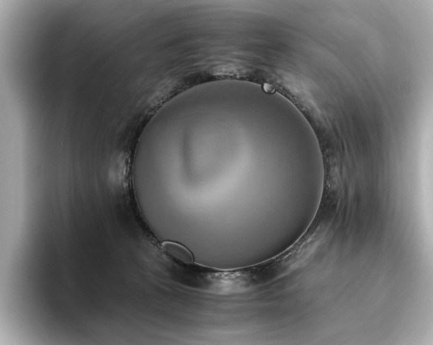 X0000093610273200710151244