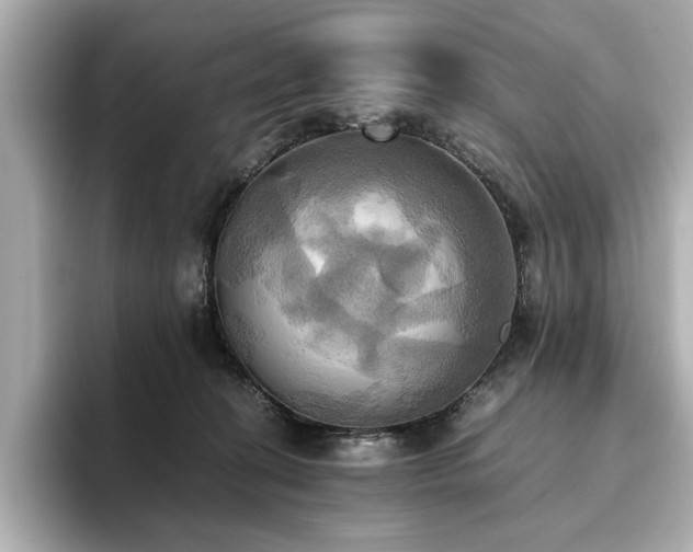 X0000093610274200710151244