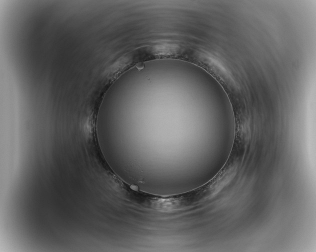 X0000093610277200710151245