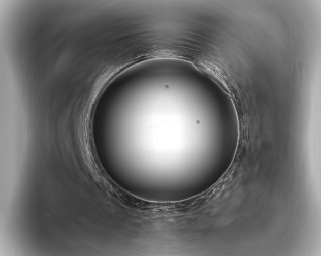 X0000093610289200710151244