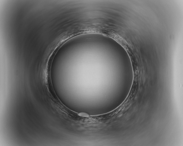 X0000093610290200710151244