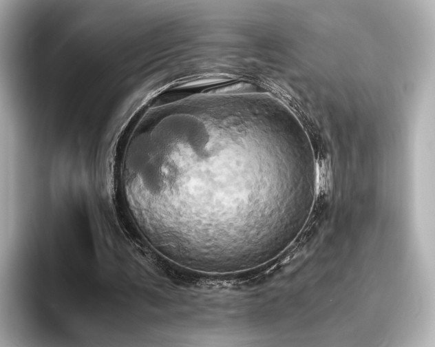 X0000093610291200710151244