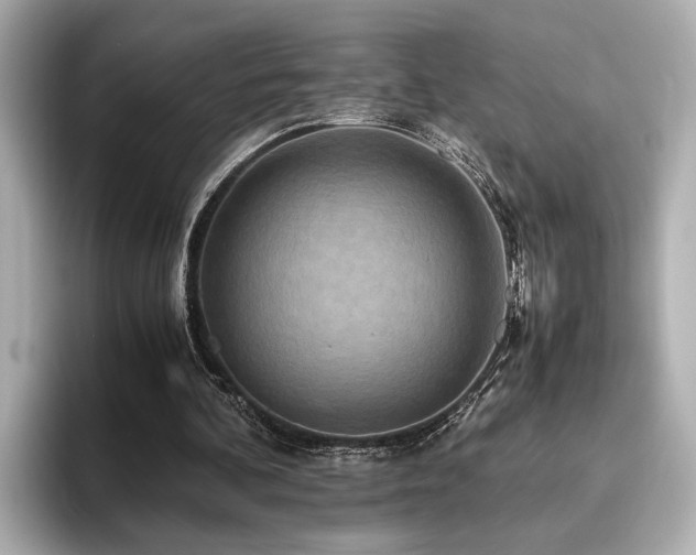 X0000093610292200710151244