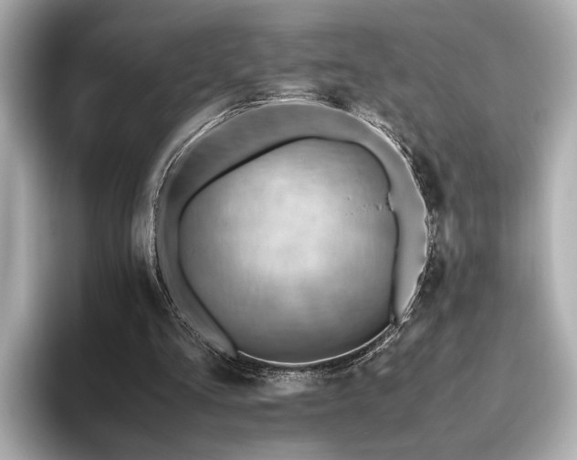 X0000093610293200710151244
