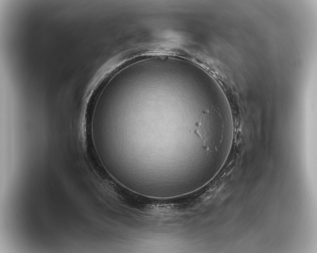 X0000093610296200710151244