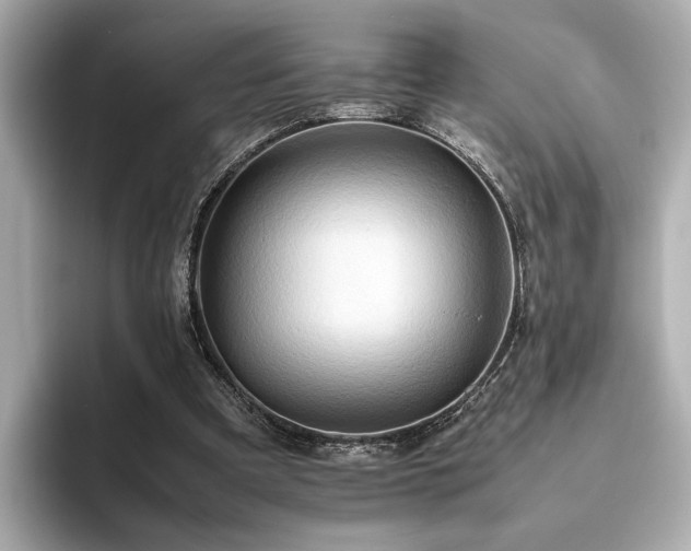 X0000093610297200710151244