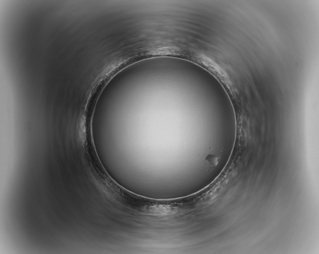 X0000093610298200710151244