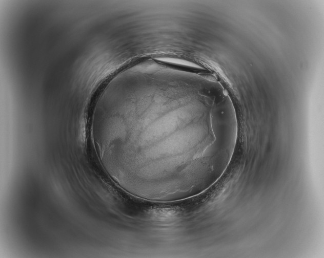 X0000093610299200710151244