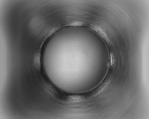 X0000093610300200710151244