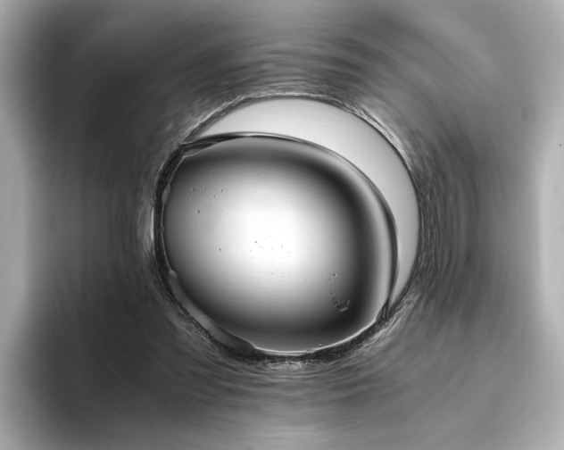 X0000093610301200710151244