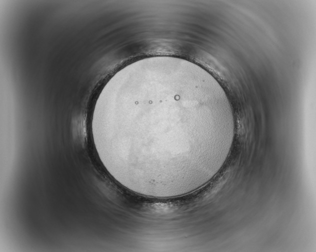 X0000093610302200710151244