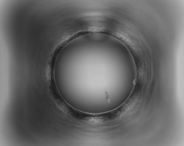 X0000093610303200710151244