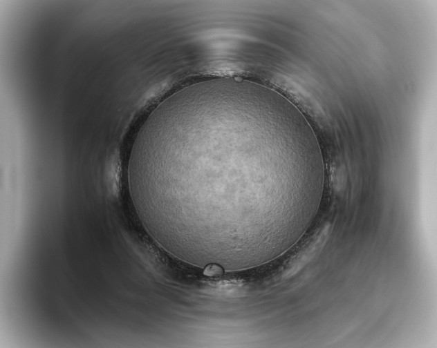 X0000093610304200710151244
