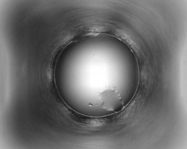 X0000093610305200710151244