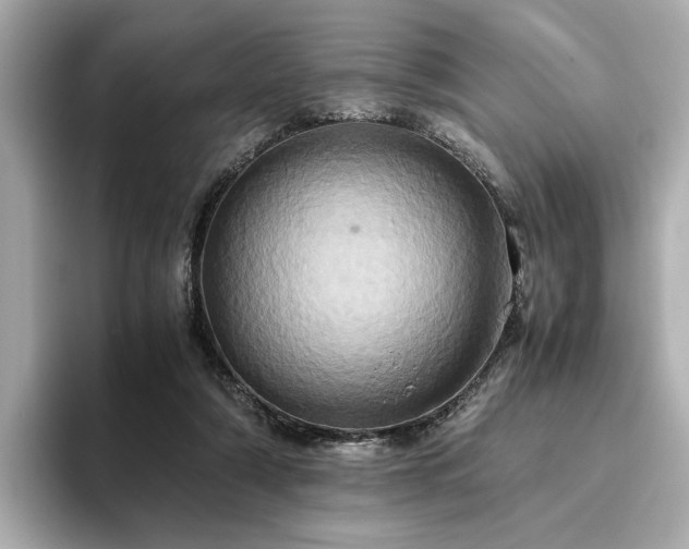 X0000093610306200710151244