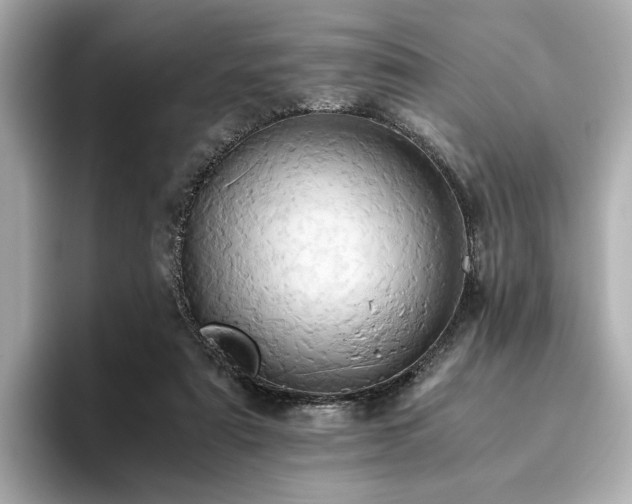 X0000093610307200710151244