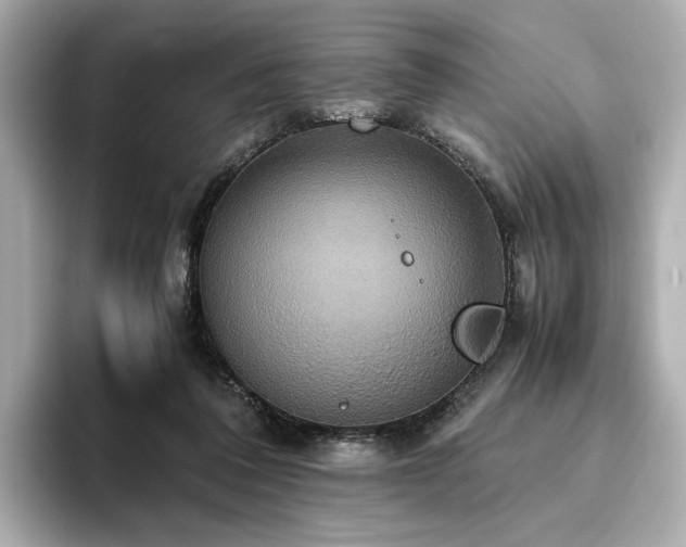 X0000093610308200710151244