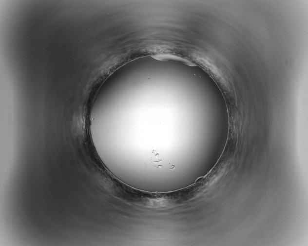 X0000093610309200710151244
