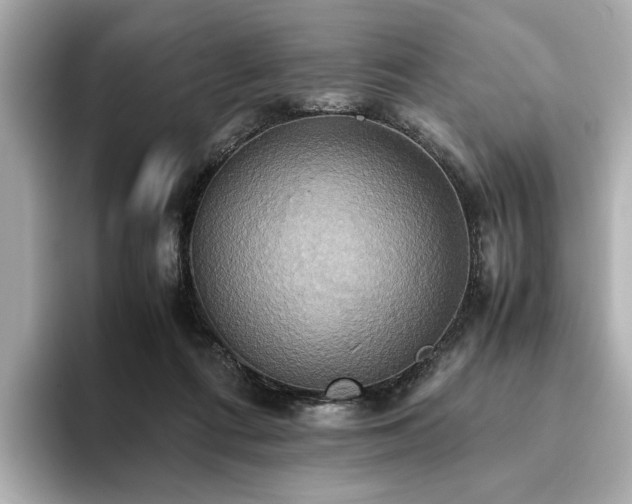 X0000093610312200710151244