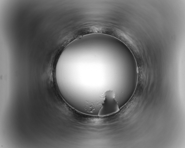X0000093610313200710151244
