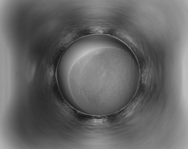 X0000093610314200710151244
