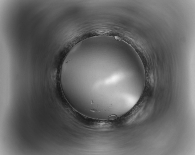 X0000093610319200710151244