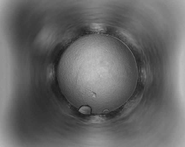 X0000093610320200710151244