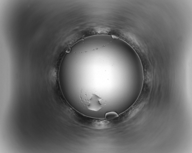 X0000093610321200710151244
