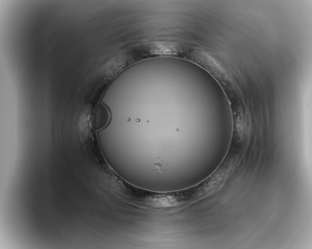 X0000093610322200710151244