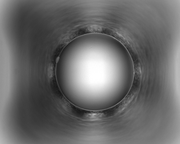 X0000093610323200710151244