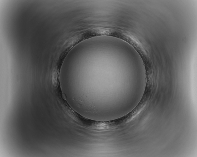 X0000093610325200710151244