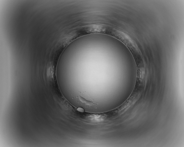 X0000093610326200710151244