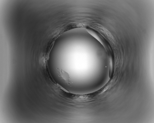X0000093610329200710151244