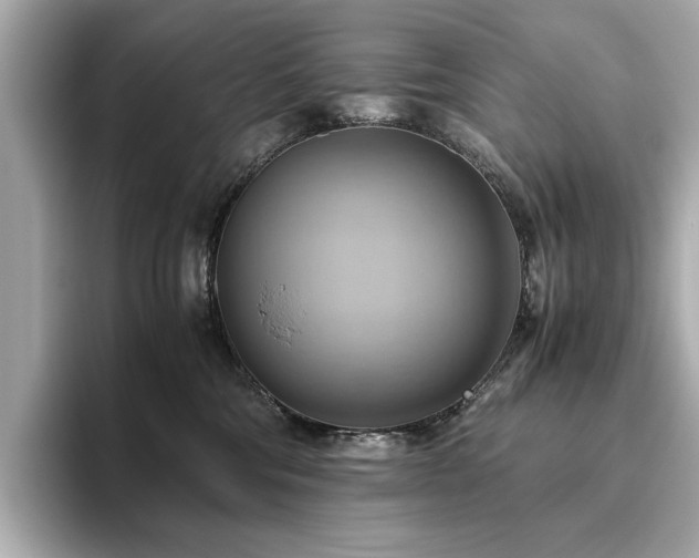 X0000093610330200710151244