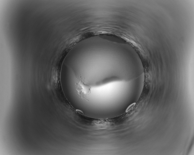 X0000093610331200710151244