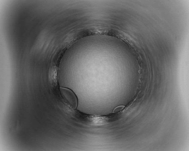 X0000093610336200710151244