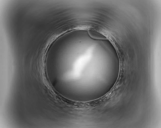 X0000093610337200710151243