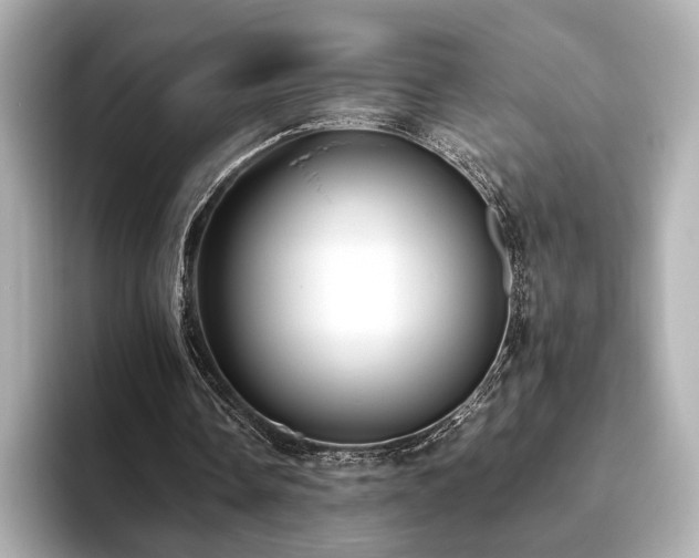 X0000093610338200710151243
