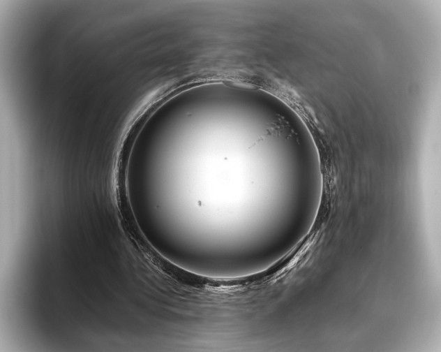 X0000093610340200710151243