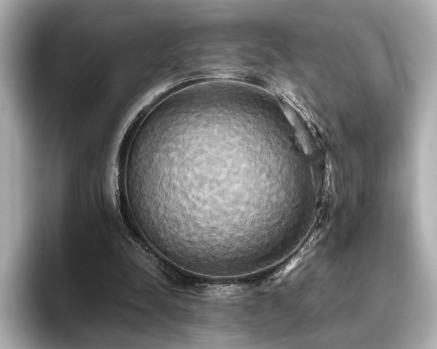 X0000093610342200710151243